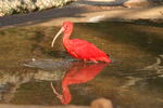IMG_5841.JPG